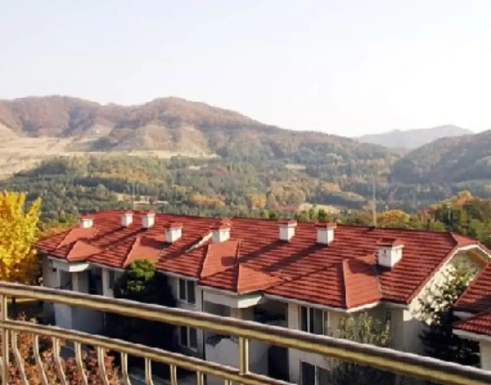 Gold Family Condo & Pet Resort