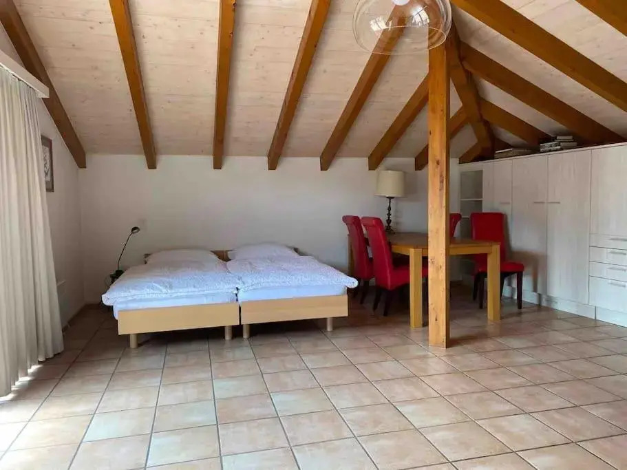 Appartamento Ascona , rooftop terrace apartment