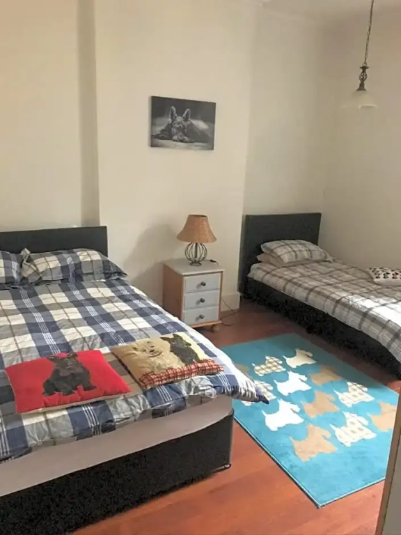 Scotty dog room 2