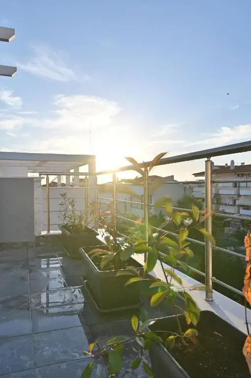 White Coral Luxury Apartments