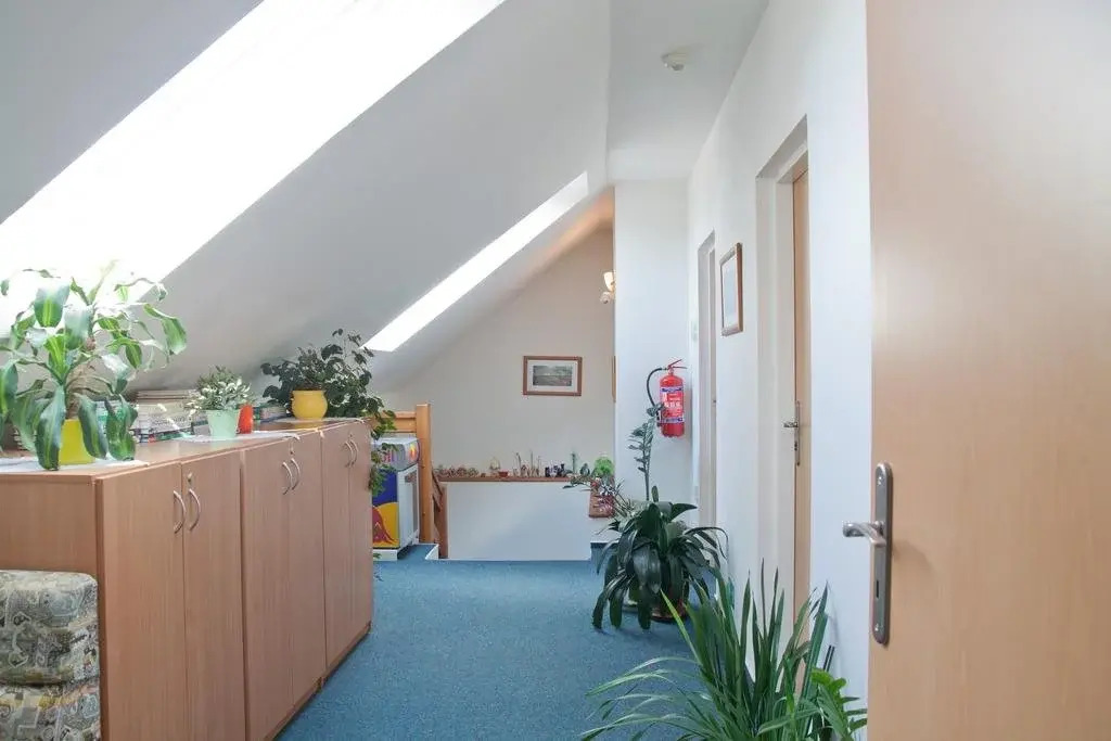 Hotel Konik