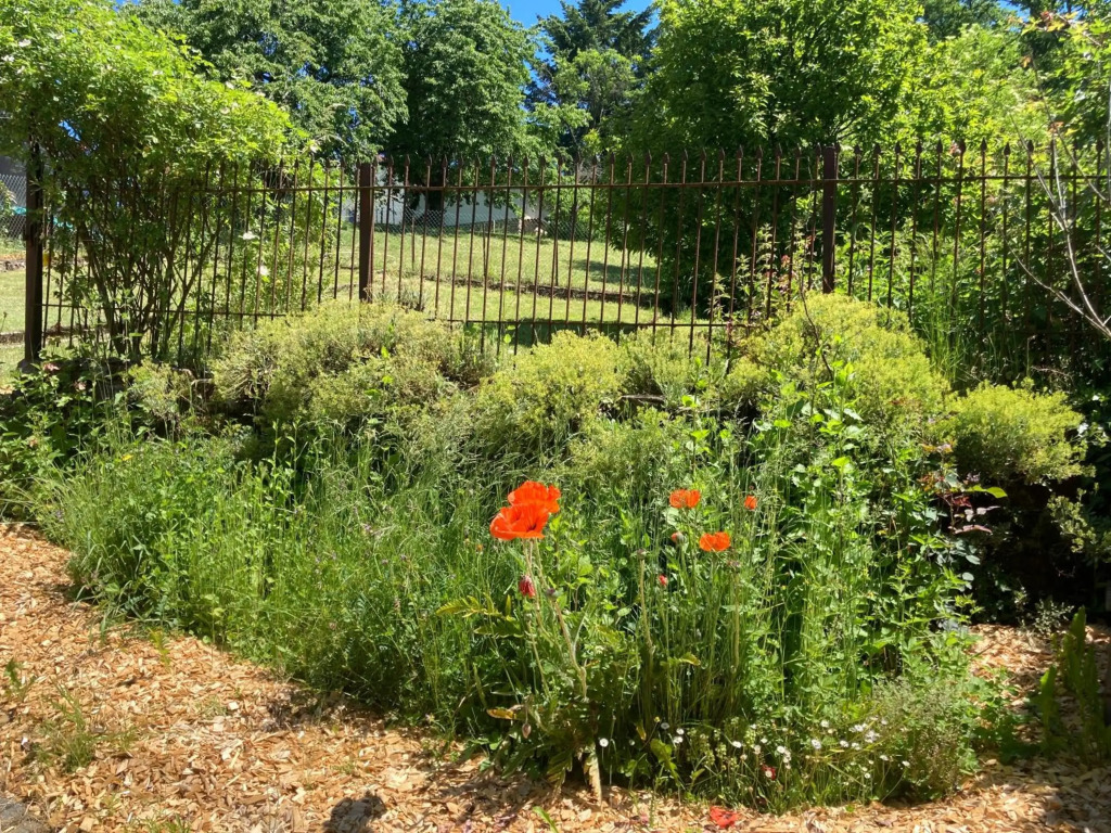 Luxe, landelijke vakantiewoning der alte Birnenbaum Duitsland-Sankt Wendel