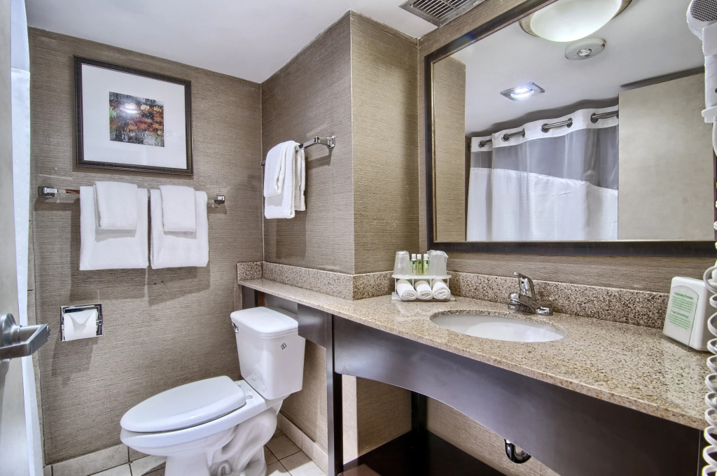 Holiday Inn Express Detroit-Birmingham by IHG
