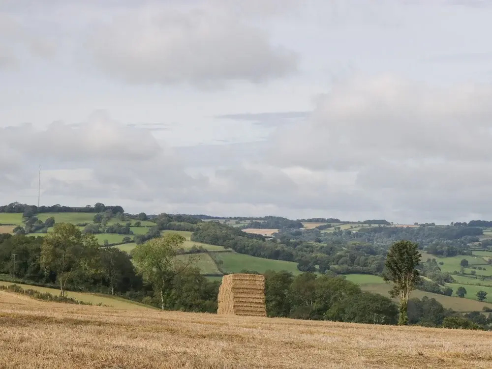 The Linhay