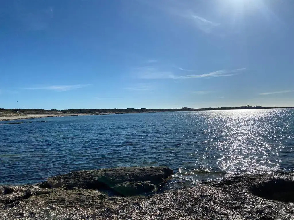 I Fenicotteri - Appartamenti sul Mare