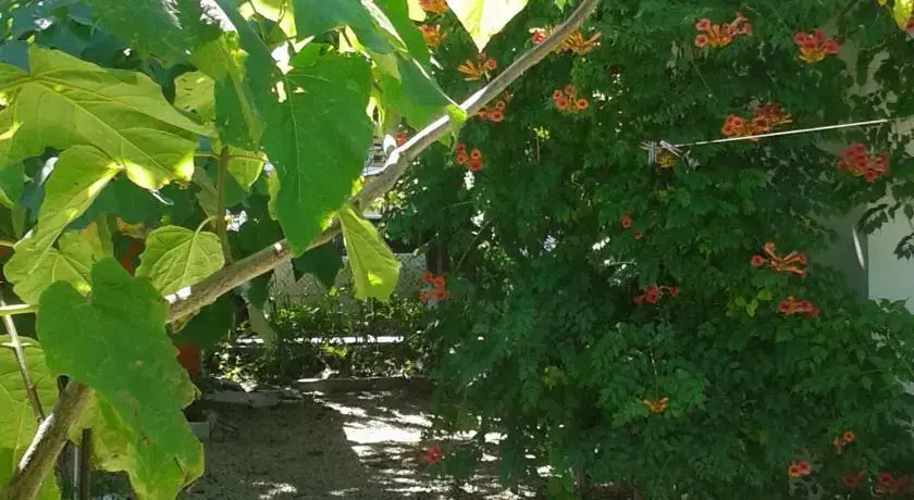 Vila Laguna Paradis