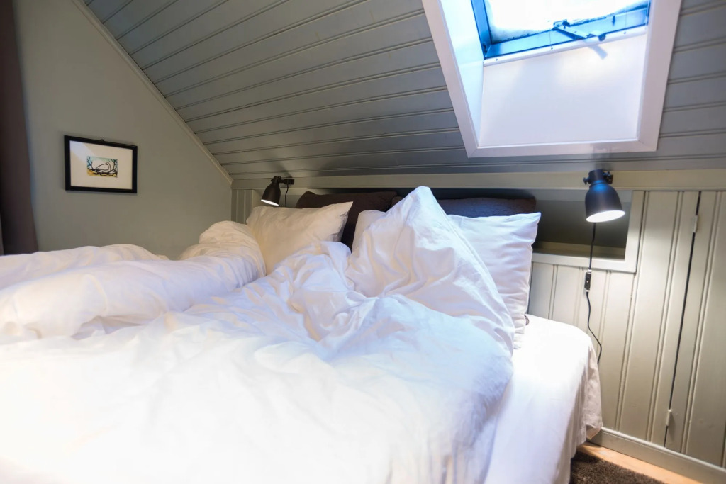 Reykjavík Treasure B&B