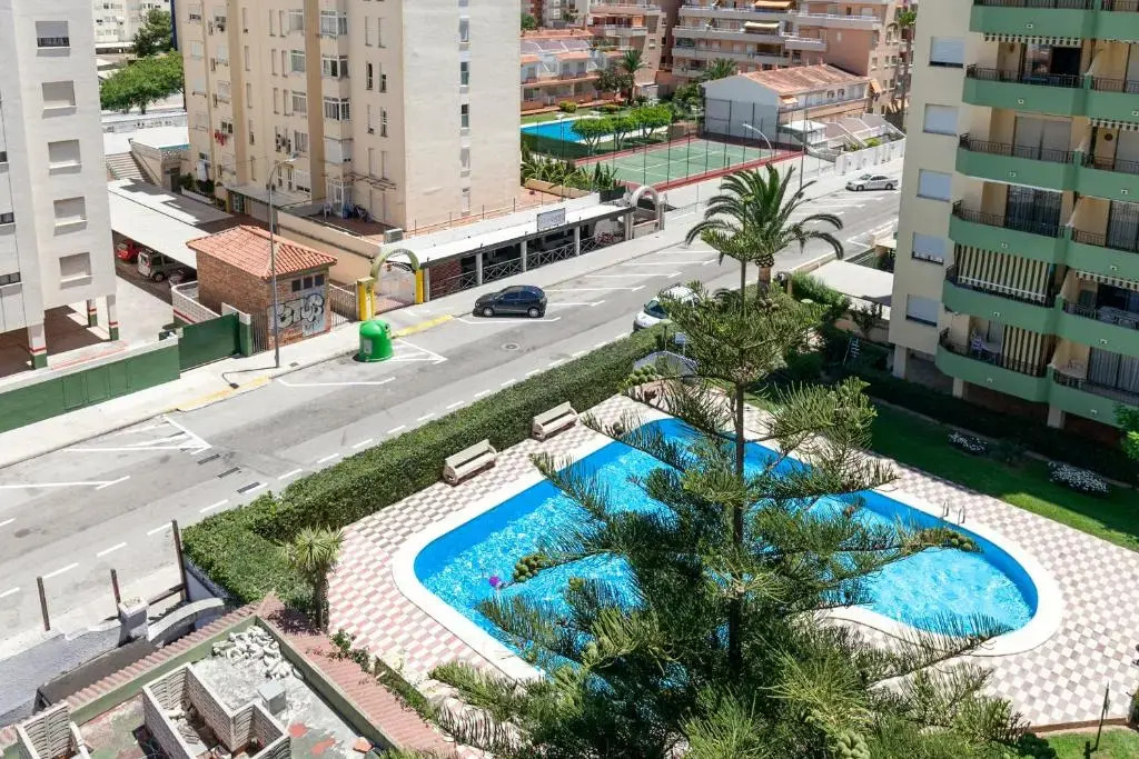 Mis Gardenias de Playa Gandia