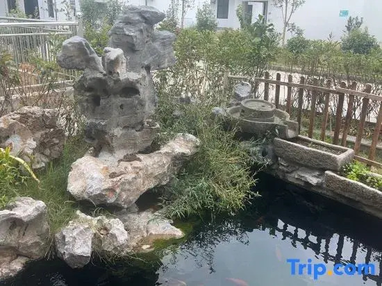 Qinghuan Courtyard Homestay