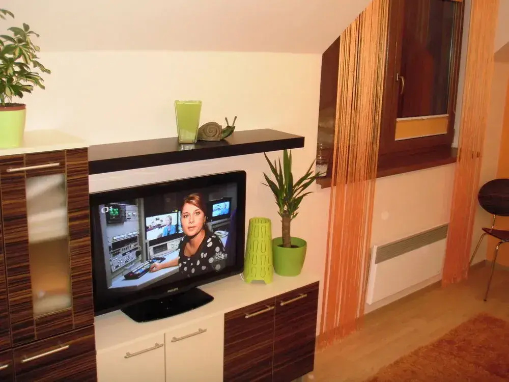 Štýlový apartmán v srdci Donovalov