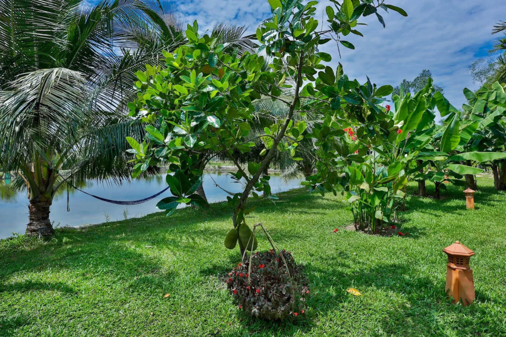 Water Coconut Boutique Villas