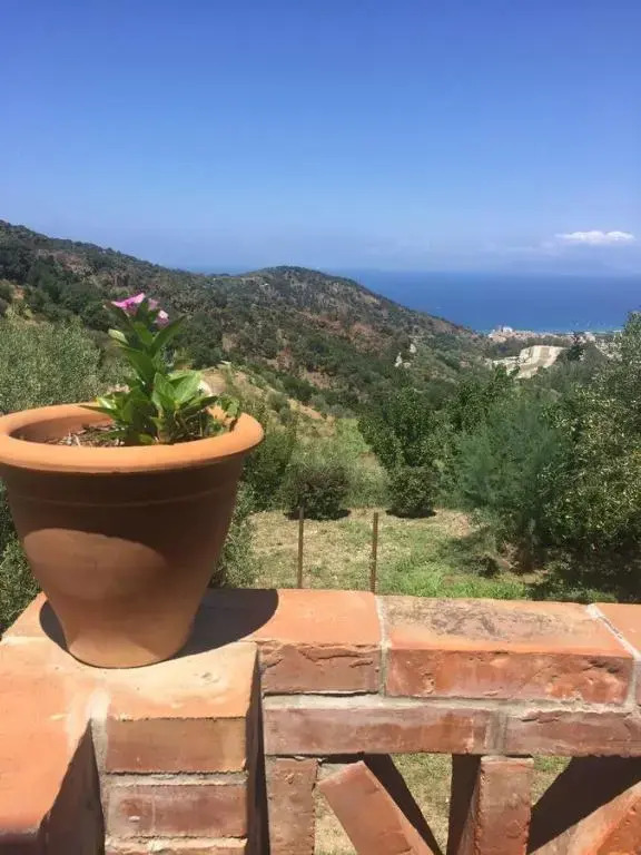 Agriturismo Fattoria di Grenne