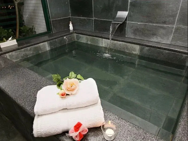Emma Dora Hotspring B&B-JiaoXi
