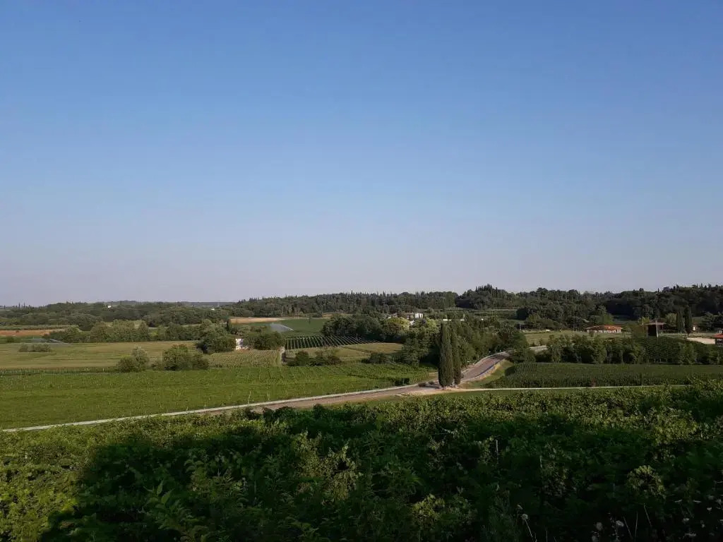 B&B I Tre Olivi