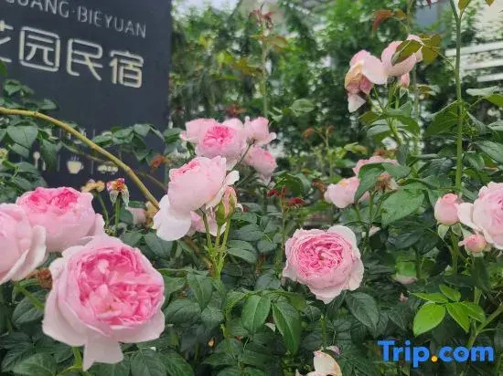 Shiguang Bieyuan Homestay