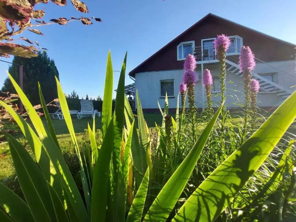 Apartments MILENA