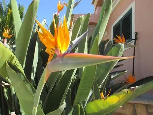 "Casas Novas Guesthouse"
