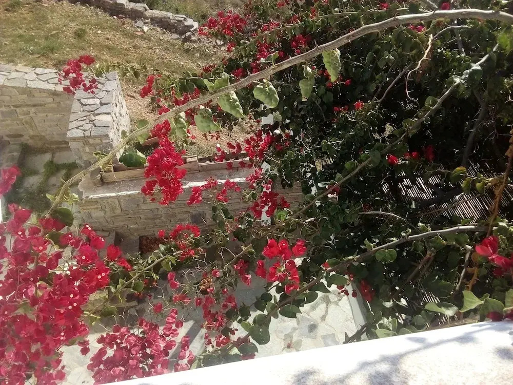 Kykladitiko Spiti