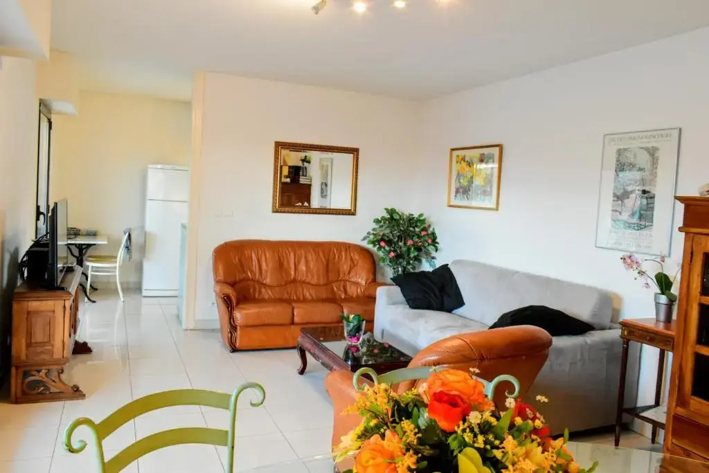 Spacious Luxury apt, 12 min walk to Croisette beach and Conf Centre