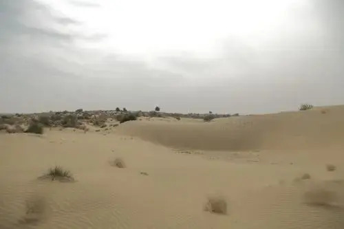 Hotel Desert