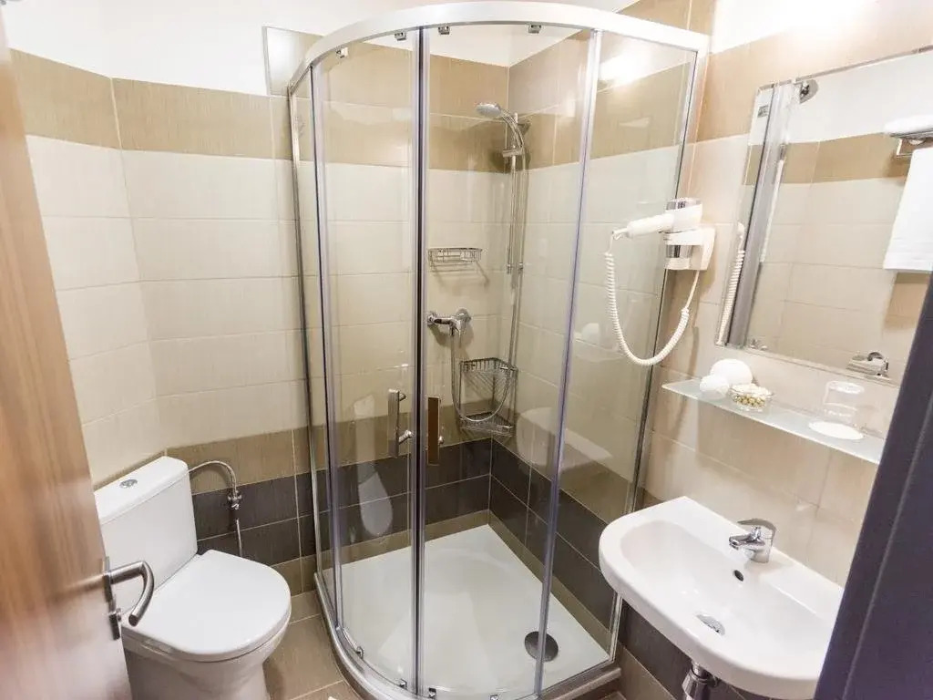 Hotel u Ledu