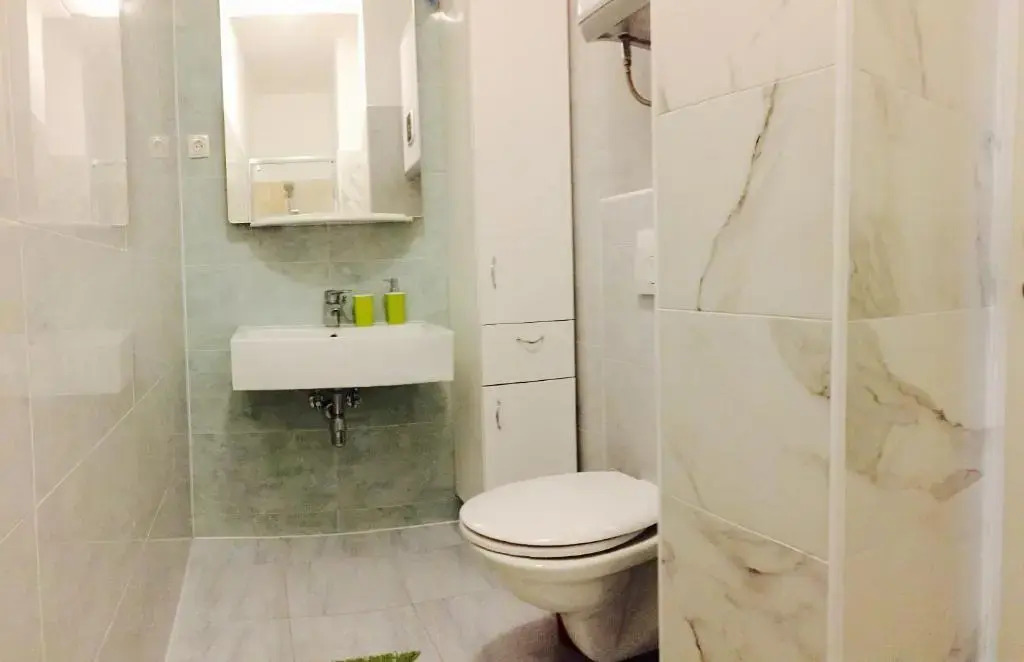 Apartment Dvorska