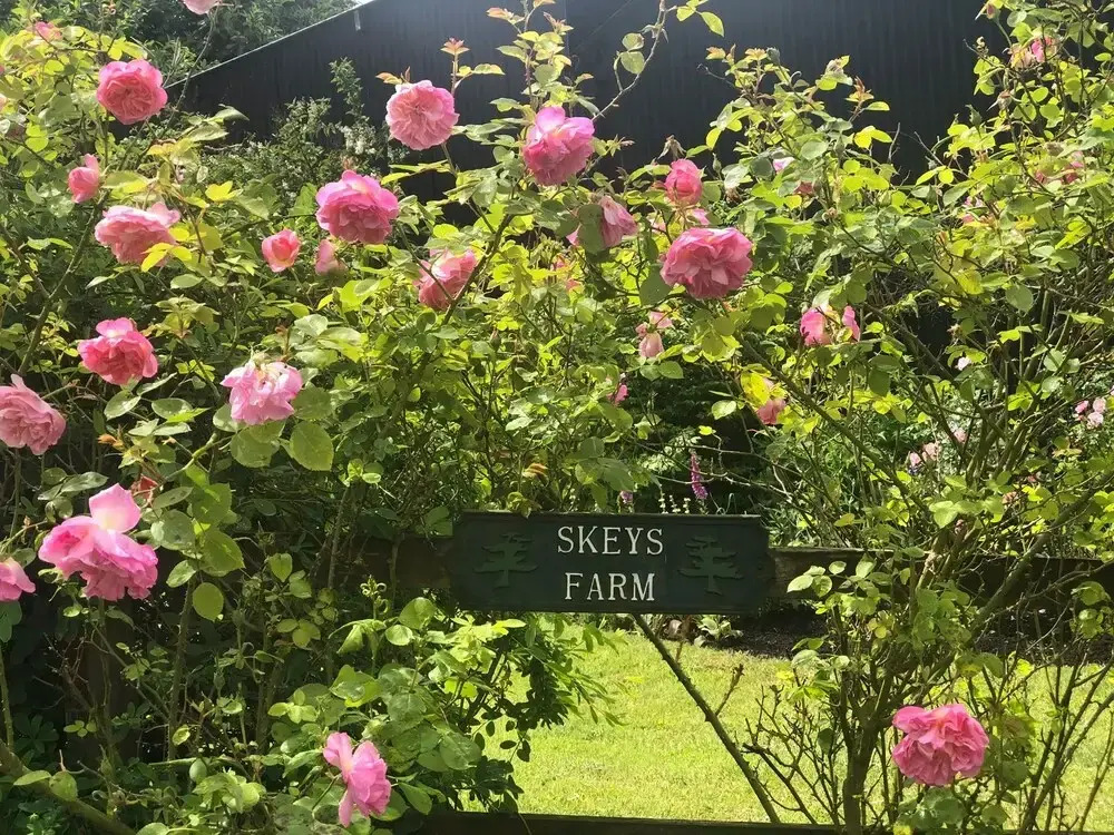 Skeys Farm