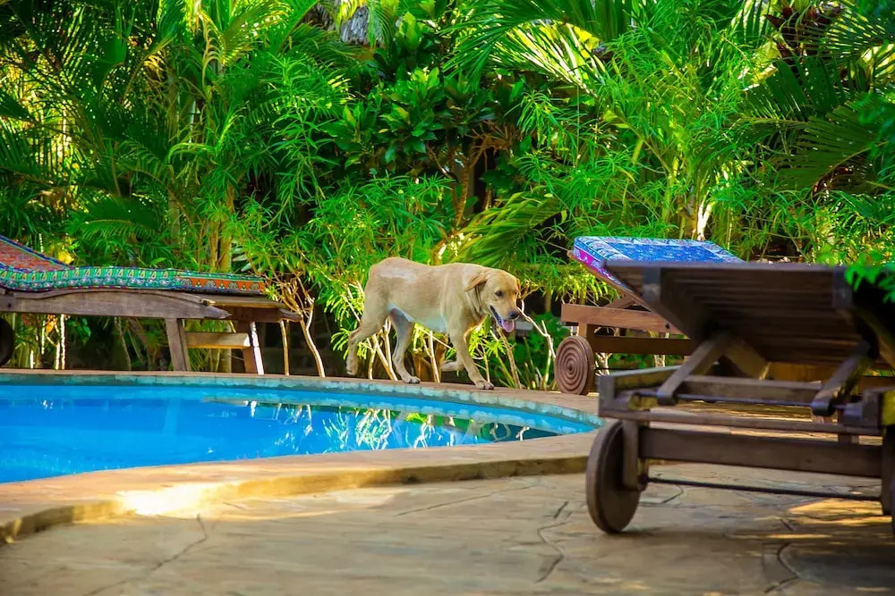 Villakwetu Cottages Diani Beach