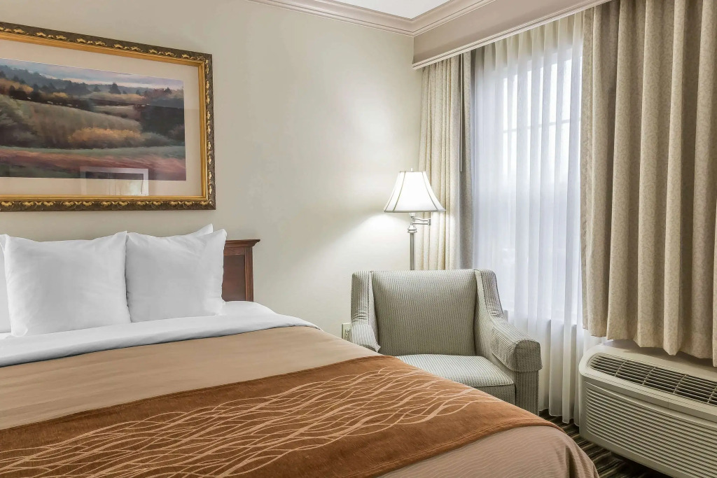Comfort Inn Plainwell
