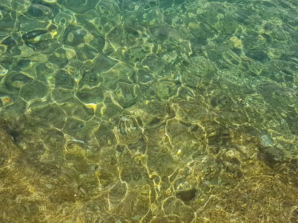 LillyBoat