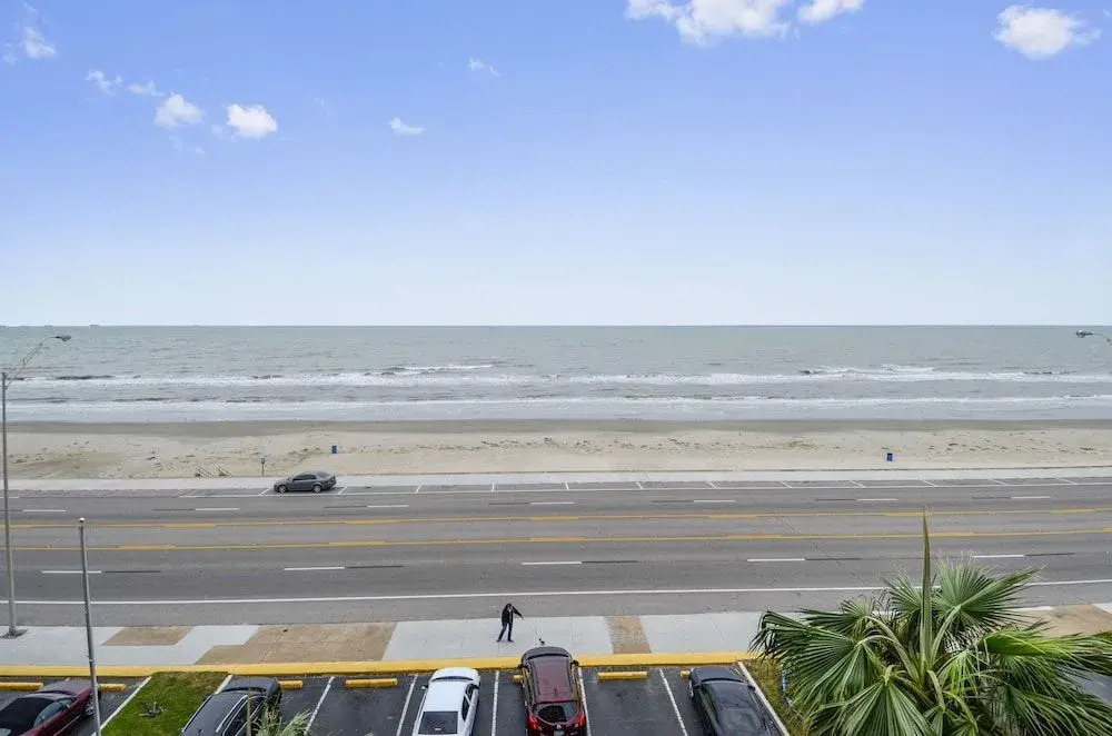 Panorama Palms