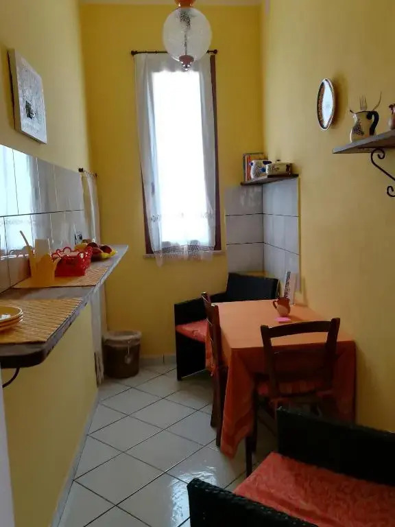 LAgrifoglio di Emy