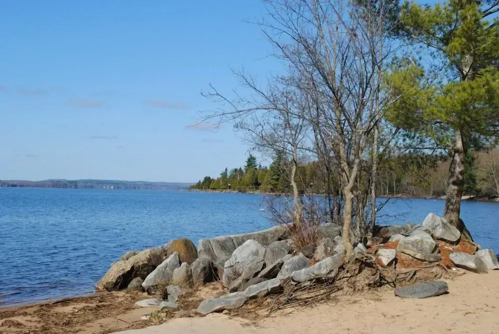 Pine Lodge