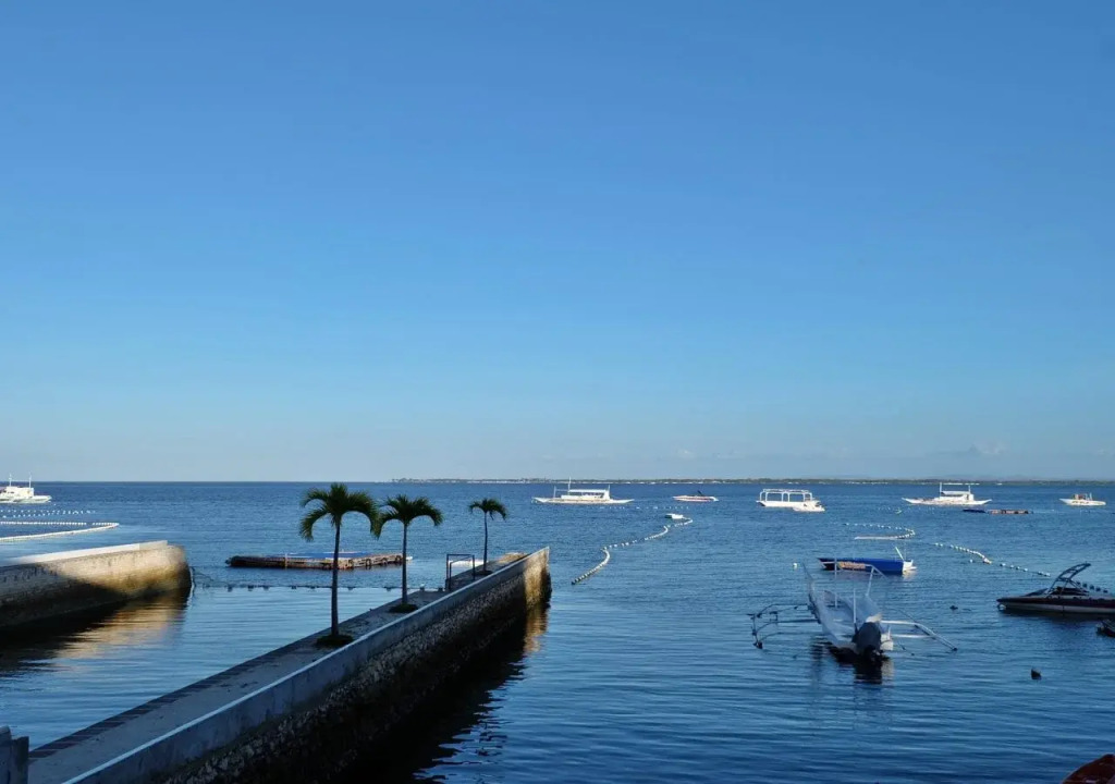 Punta House