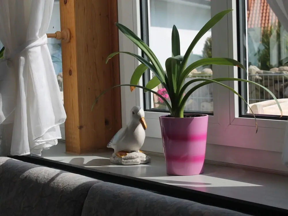 Splendid Apartment in Nienhagen near Sea
