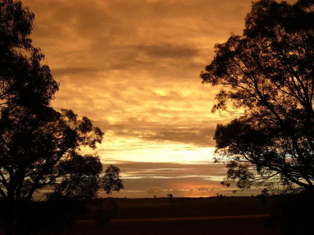 Sunset View B&b Forbes