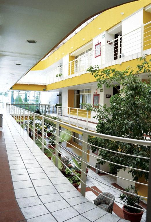 Hotel Mediterraneo Sa De Cv