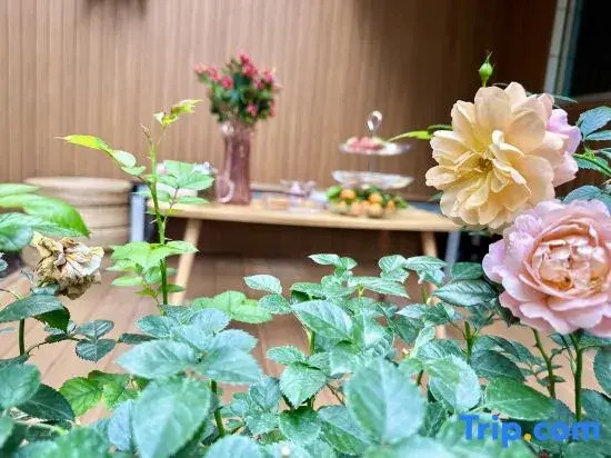 Zhuhai Yifang Shanhai Homestay