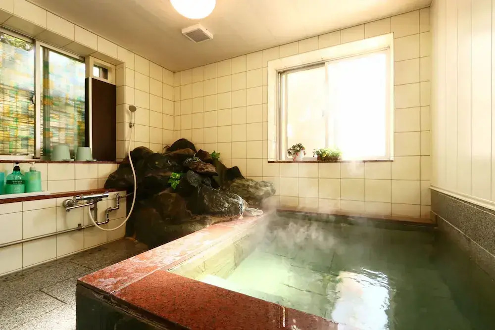 IZUNA INN & SPA - the veggie delights