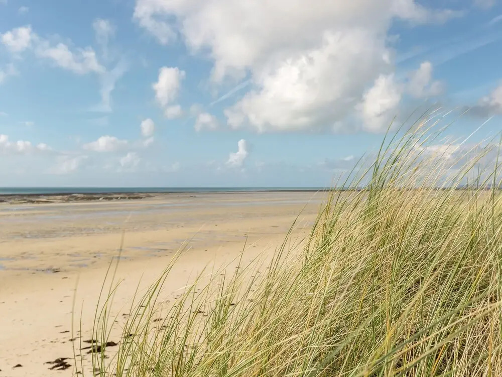 Saint-Germain Beach Bliss