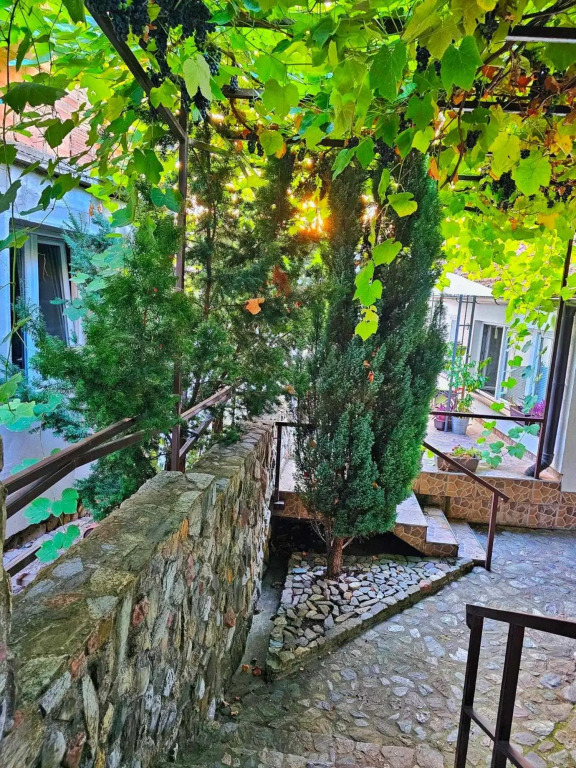 Studio Apartments Siesta
