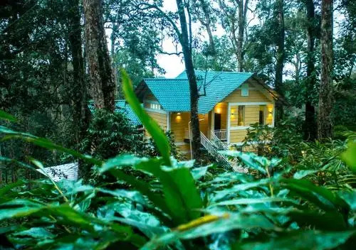 Areva Inn Plantation Resort Munnar with Pool by VOYE HOMES