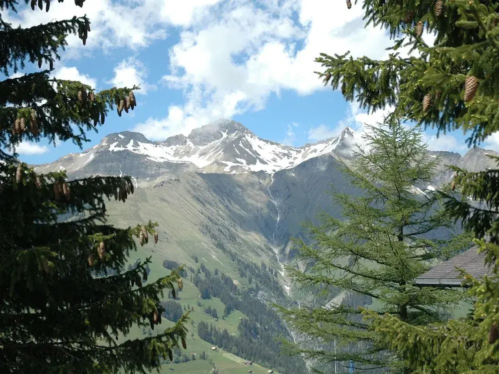 Detached Chalet on the Alm, Great Views, Privat Garden, Well Equipped