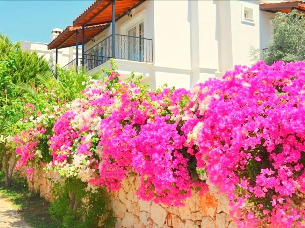 Leton Villa by rezervasyonyap
