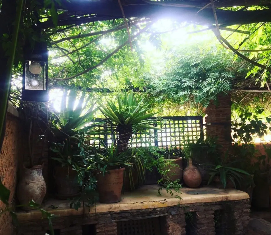 Riad Tibibt