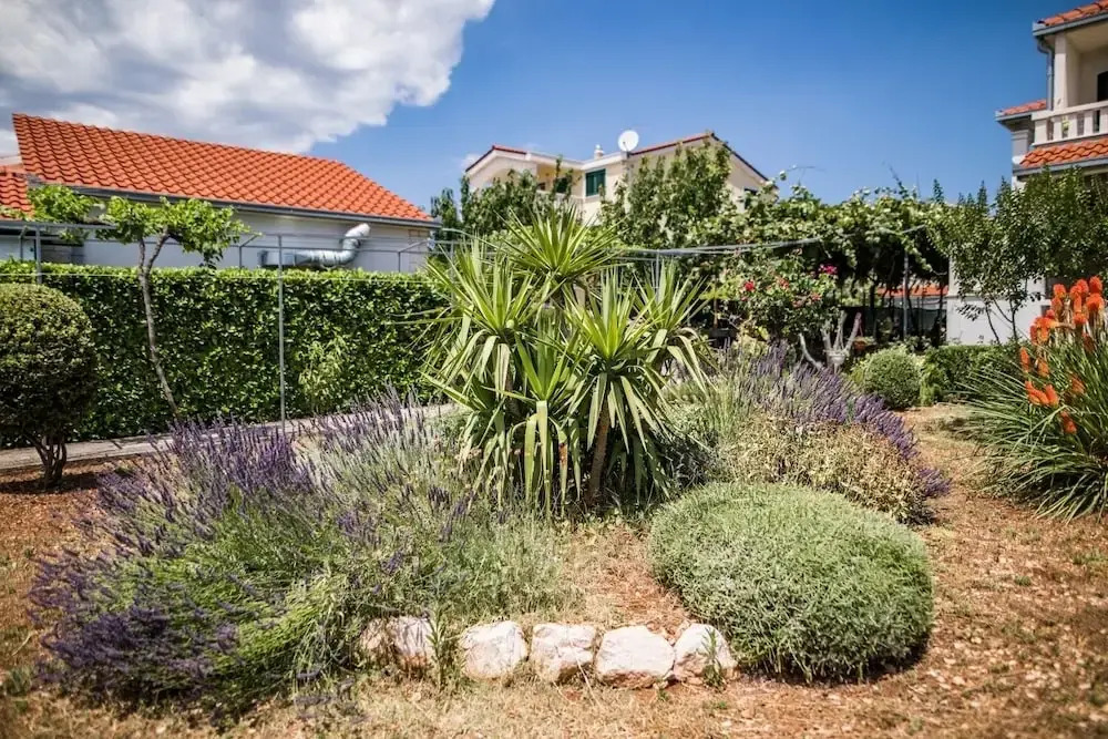 Jasna - 20m From the sea - A2
