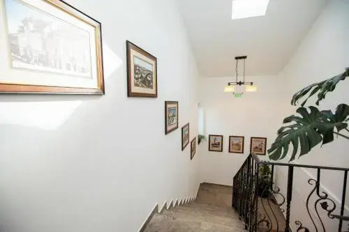 Magic Garden by Vlăduț