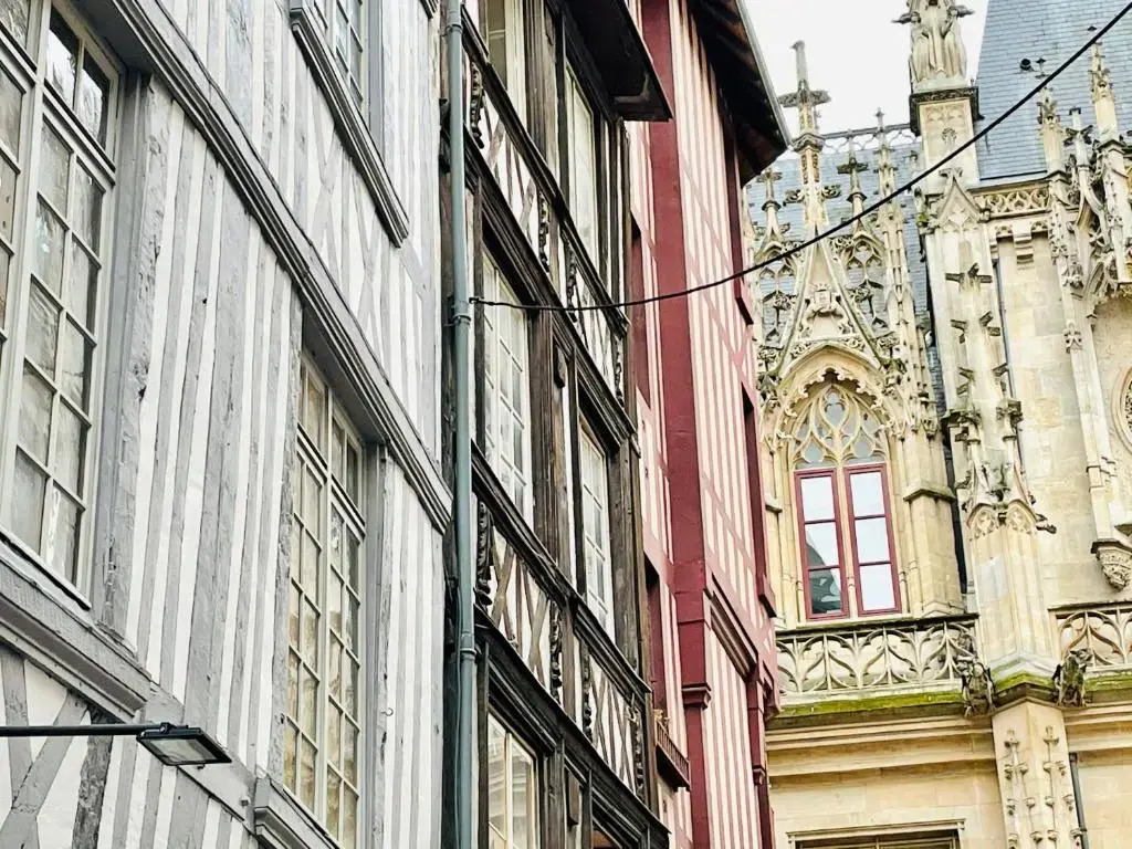 Appartement cosy en plein coeur historique