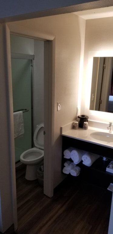 Hotel South Tampa & Suites