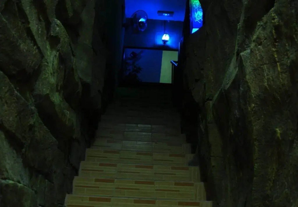 Havana Guest House